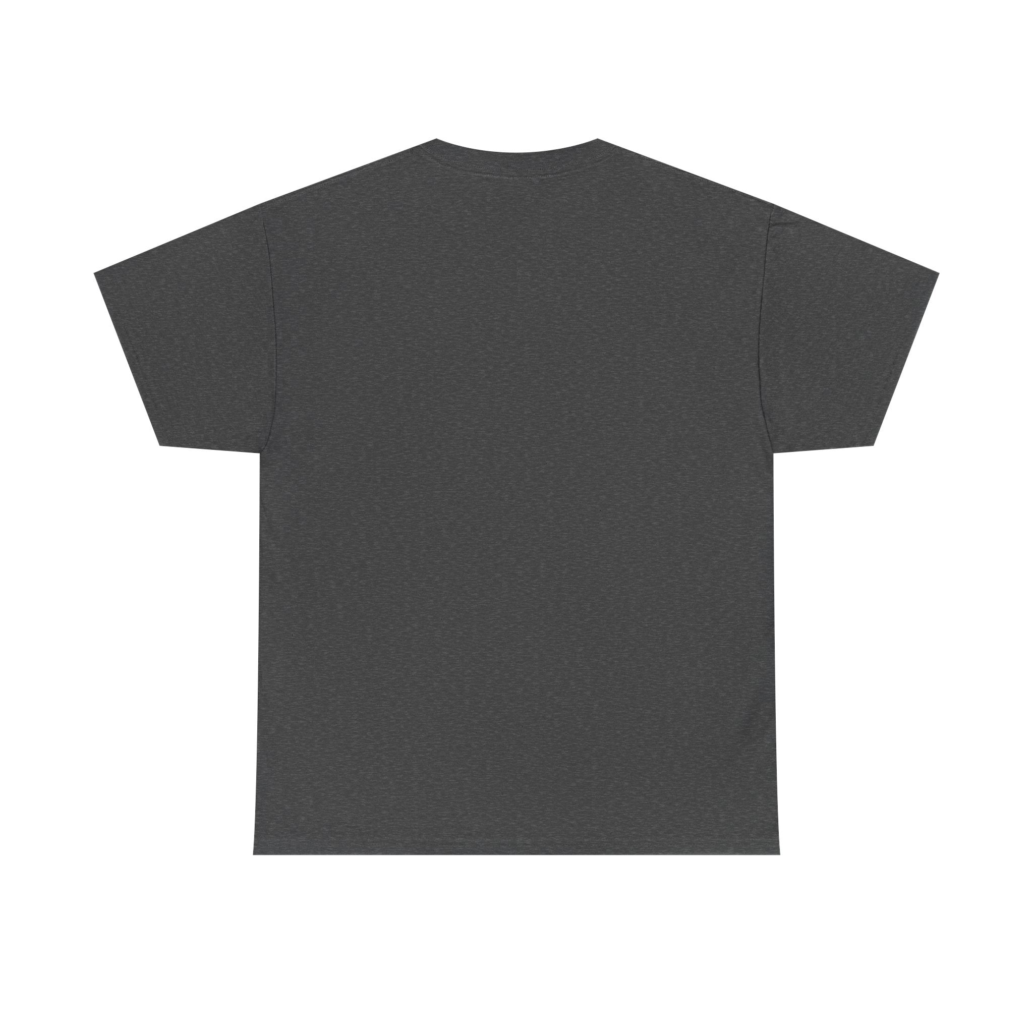 Empowering Slogan Tee, Bold Graphic Shirt, Motivational T-Shirt, Confidence Apparel, Gift for Dreamers, Casual Everyday Wear