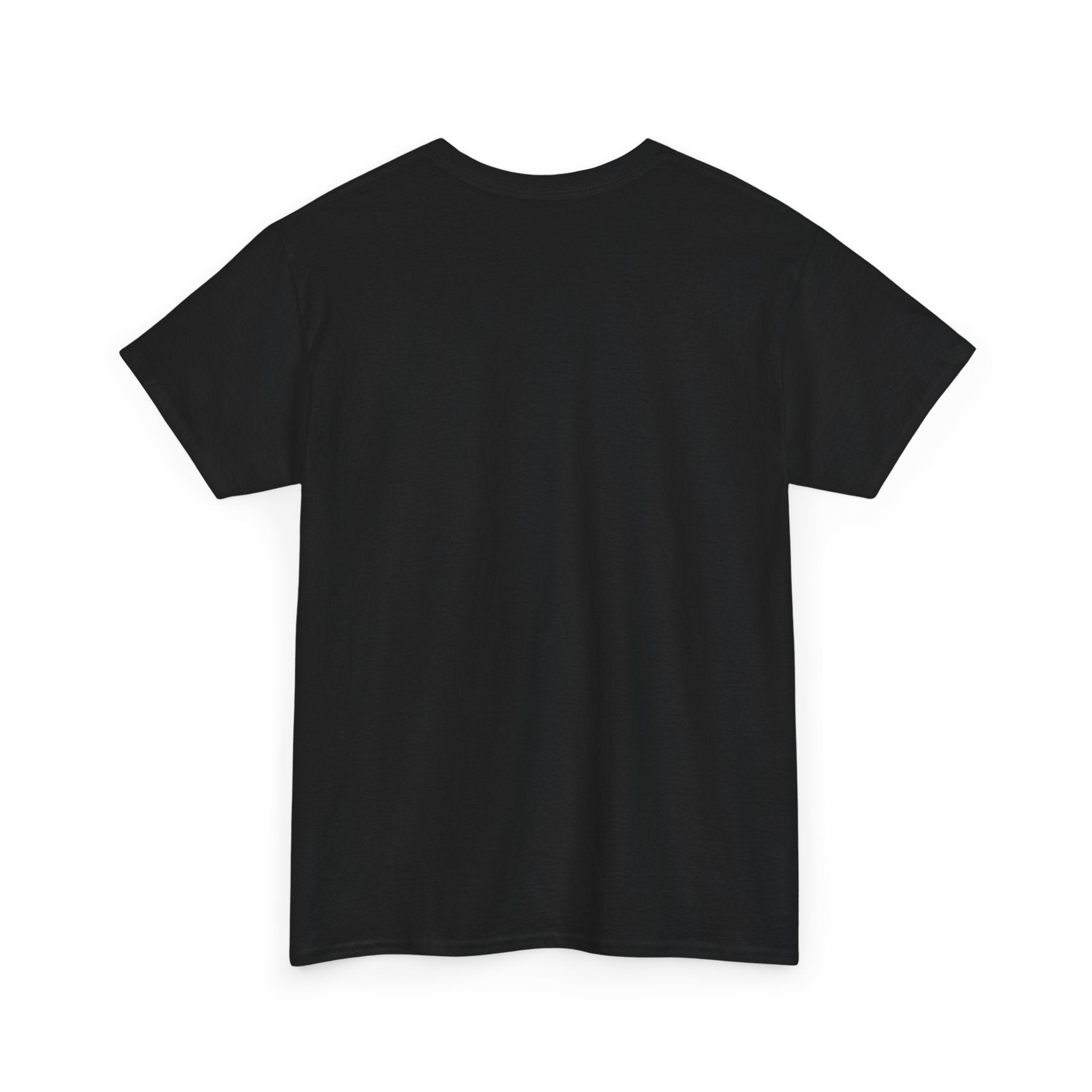 Empowering Slogan Tee, Bold Graphic Shirt, Motivational T-Shirt, Confidence Apparel, Gift for Dreamers, Casual Everyday Wear
