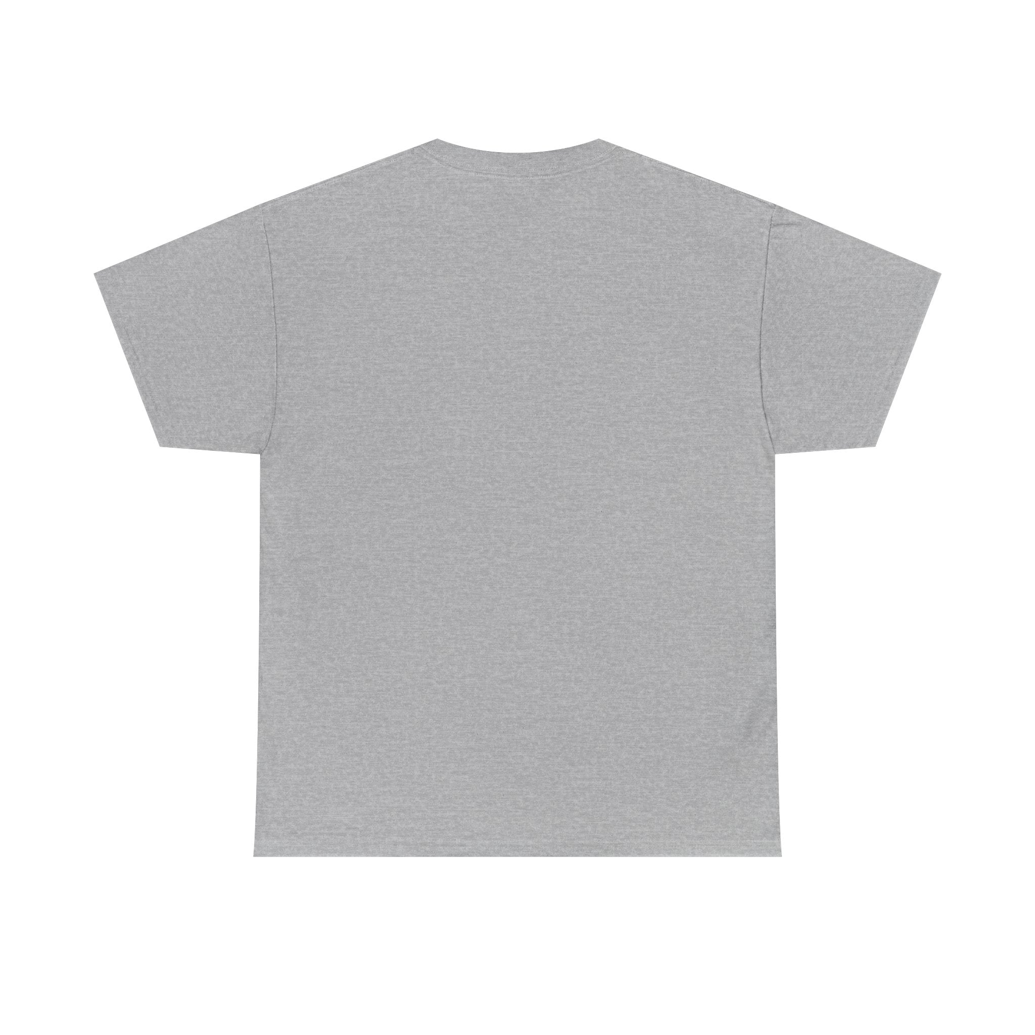 Empowering Slogan Tee, Bold Graphic Shirt, Motivational T-Shirt, Confidence Apparel, Gift for Dreamers, Casual Everyday Wear