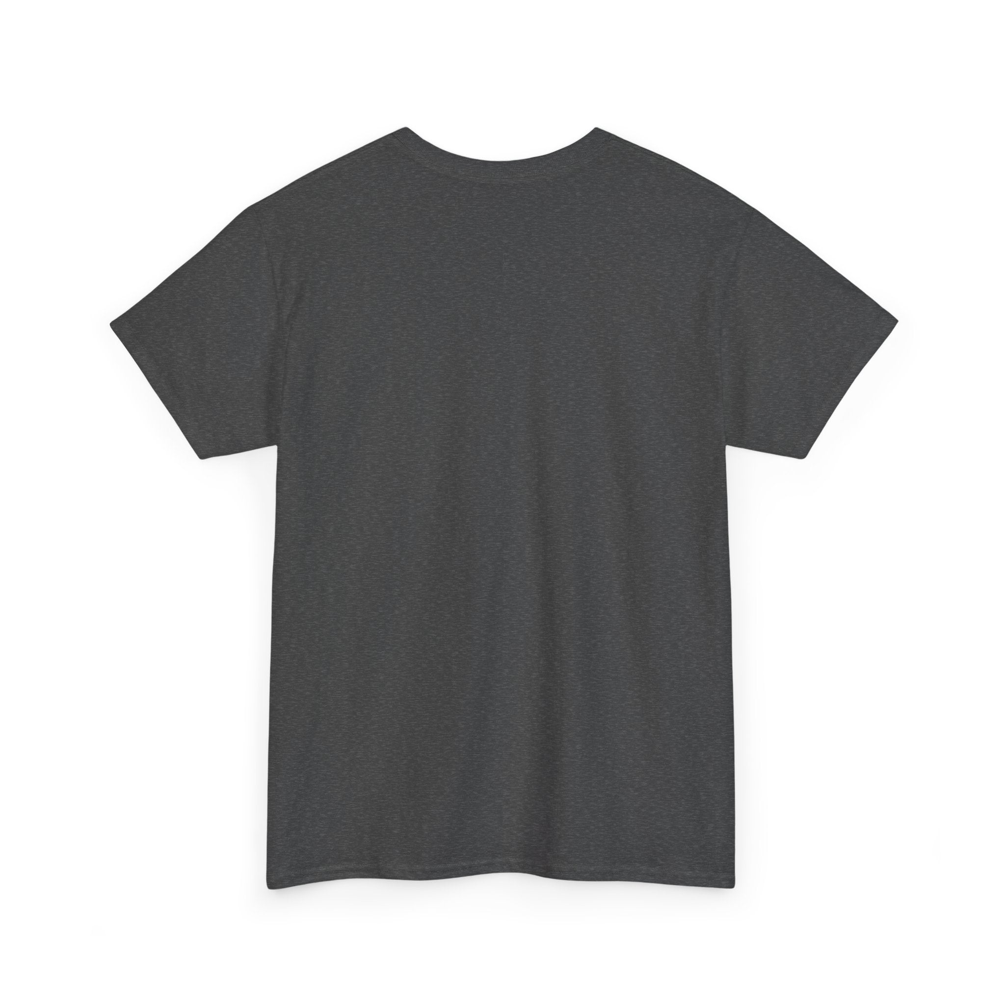 Empowering Slogan Tee, Bold Graphic Shirt, Motivational T-Shirt, Confidence Apparel, Gift for Dreamers, Casual Everyday Wear